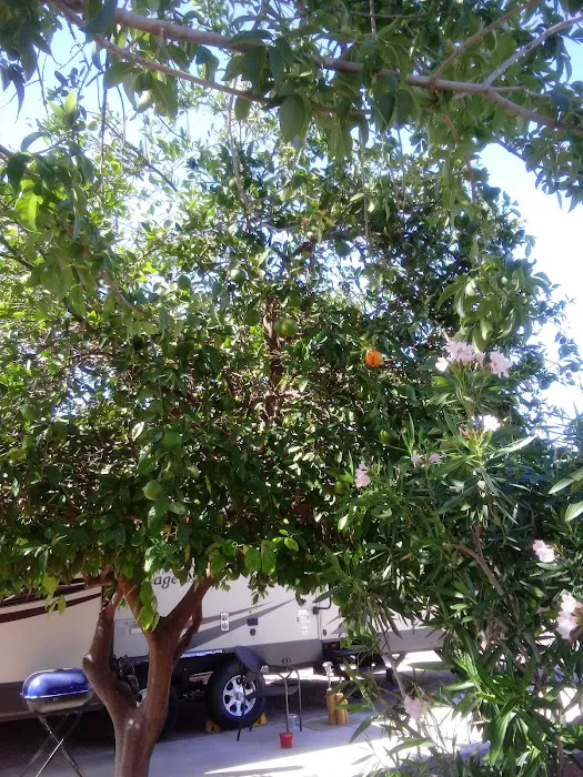 Green Acres Picture 10