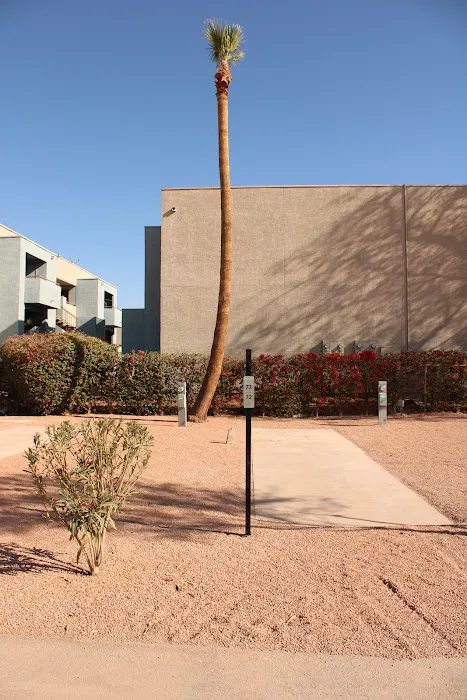 Mesa Gardens RV Park Picture 7