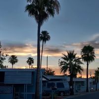 Paradise Valley Ranch ico