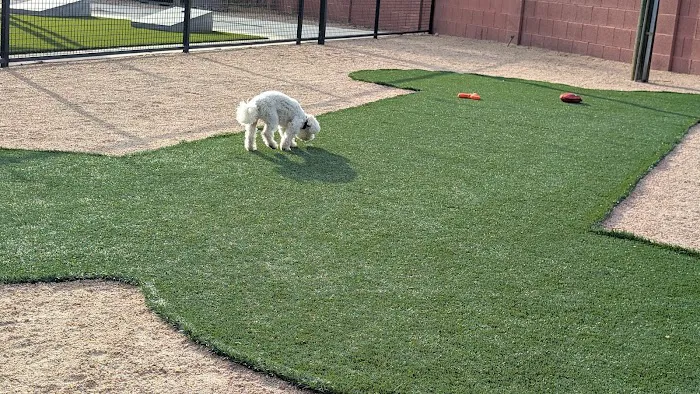 Paradise Valley Ranch Picture 2