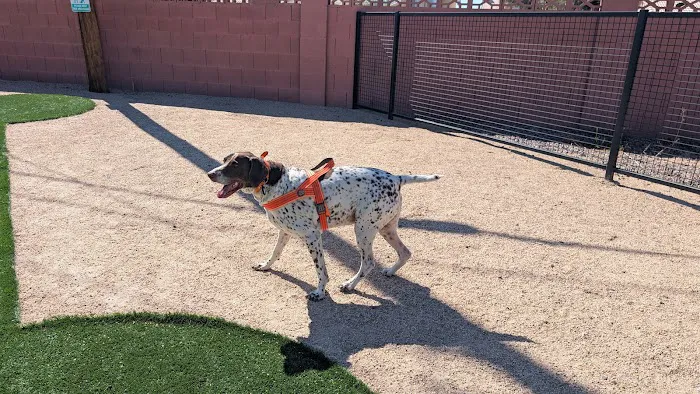 Paradise Valley Ranch Picture 8