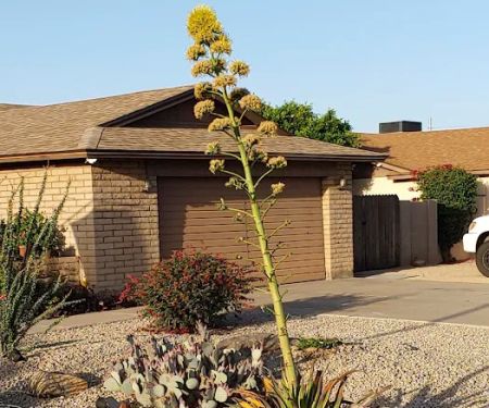 Desert Shadows RV Resort