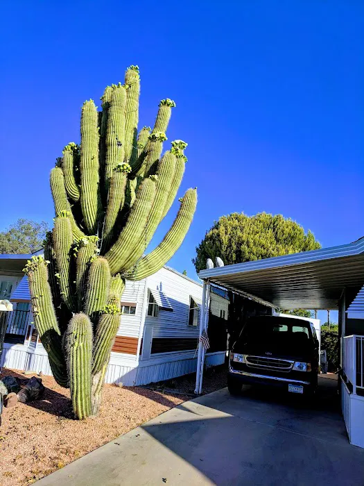 Desert Shadows RV Resort Picture 5