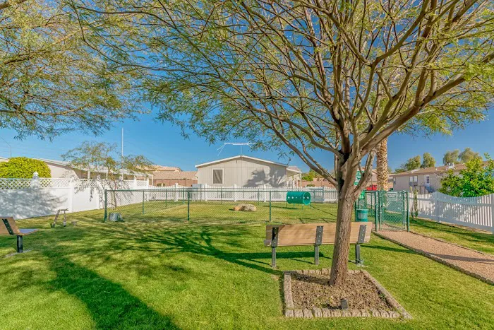 Buffalo Ridge Picture 6