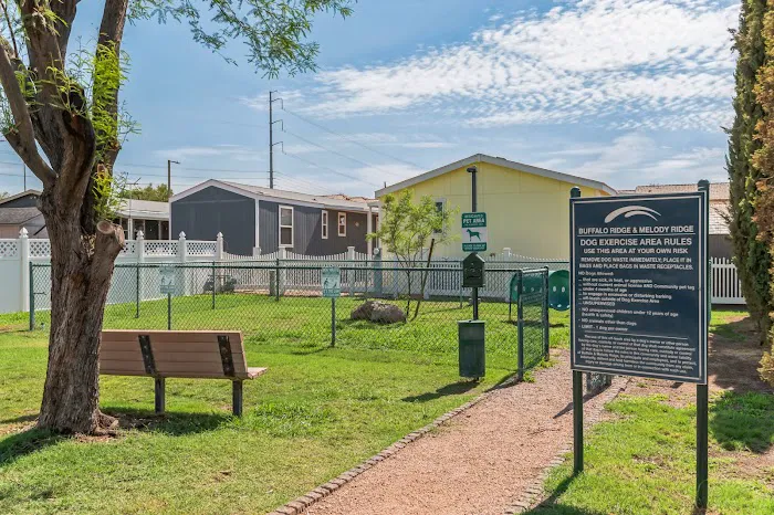 Buffalo Ridge Picture 4