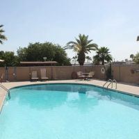 Whispering Palms ico