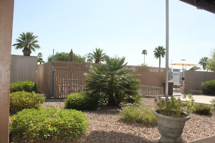 Whispering Palms Picture 2