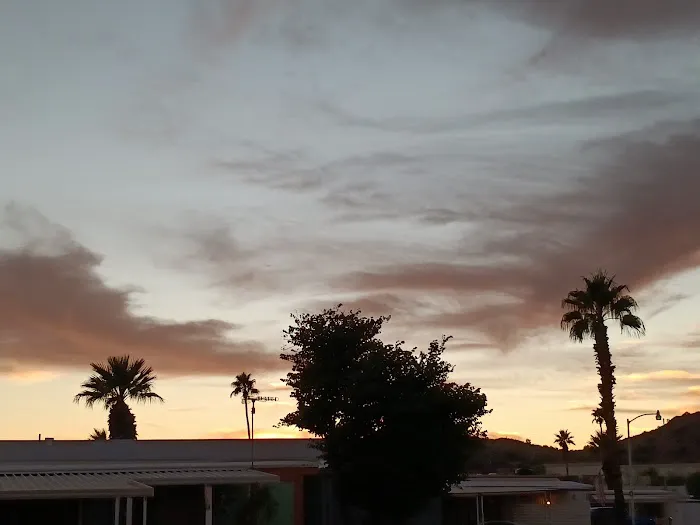 Whispering Palms Picture 5