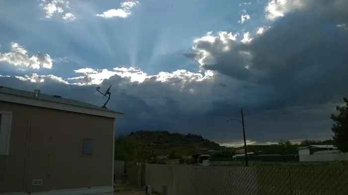 Whispering Palms Picture 8