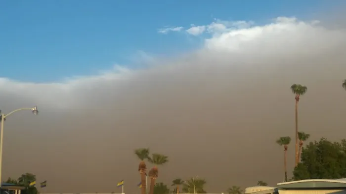 Whispering Palms Picture 10