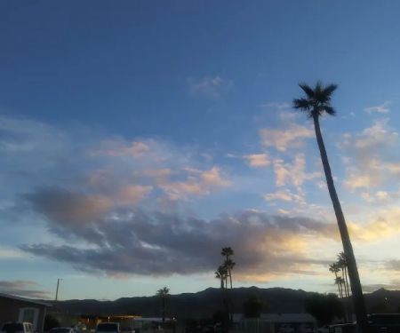 Countryside Mobile Home Park