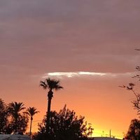 Triple T Mobile Home Park ico