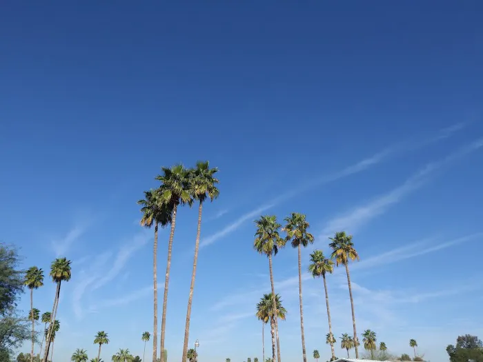 San Estrella Mobile Home Community Picture 3