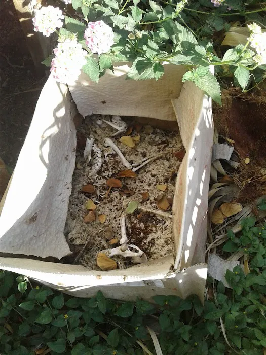 Garden Spot Mobile Home Park Picture 1