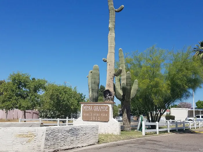Mesa Grande Mobile Home Park Picture 1