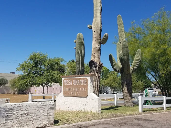 Mesa Grande Mobile Home Park Picture 4