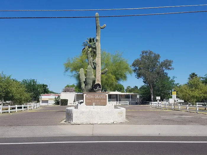 Mesa Grande Mobile Home Park Picture 3