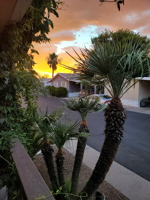 Carefree Manor Picture 2