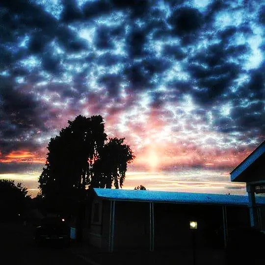 Carefree Manor Picture 7