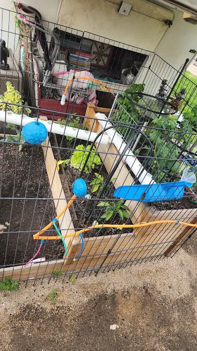 Desert Sands RV Park Picture 2