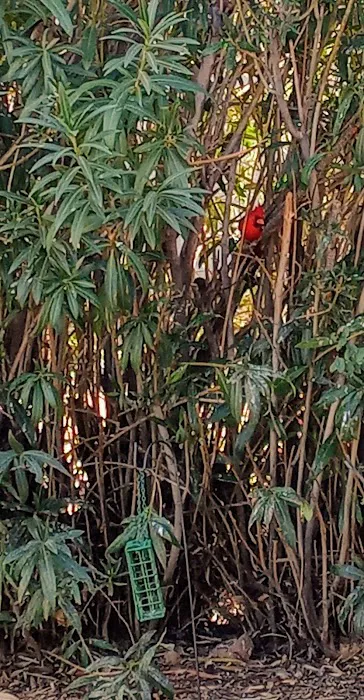 Desert Sands RV Park Picture 4