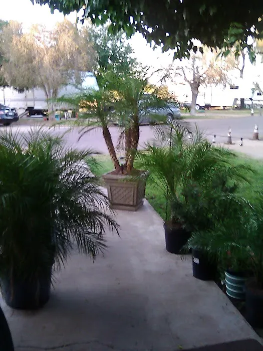 Desert Sands RV Park Picture 10