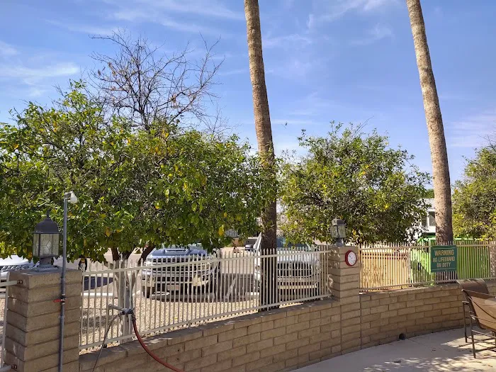 Desert Skies Picture 8