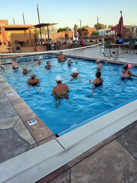 Orangewood Shadows RV Resort Picture 2