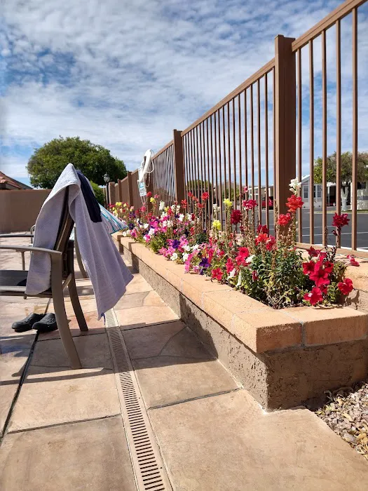 Orangewood Shadows RV Resort Picture 1