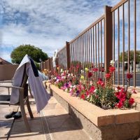 Orangewood Shadows RV Resort ico