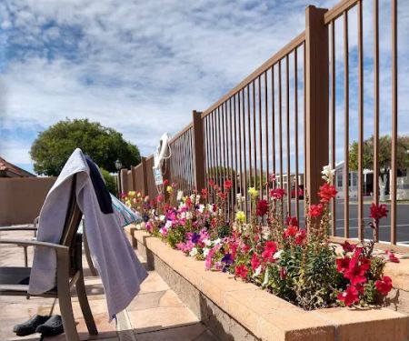 Orangewood Shadows RV Resort