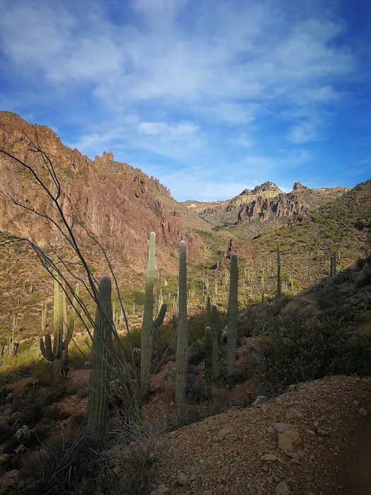 Orangewood Shadows RV Resort Picture 4