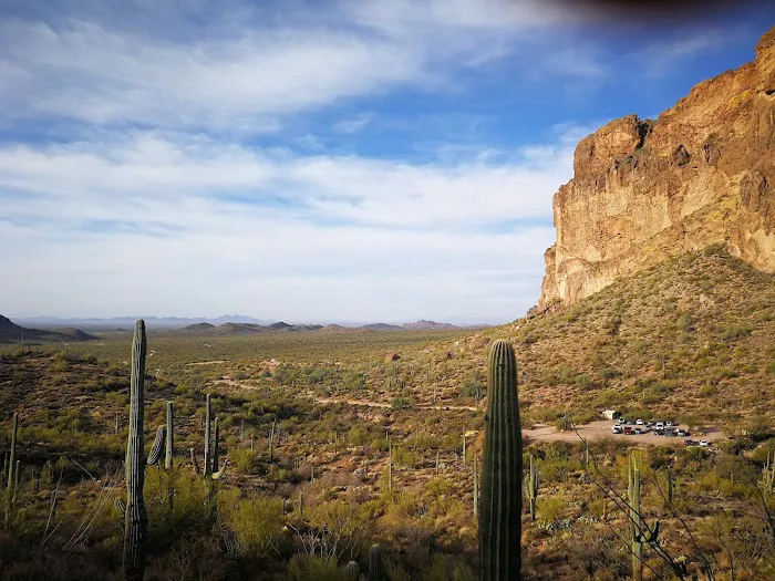 Orangewood Shadows RV Resort Picture 8
