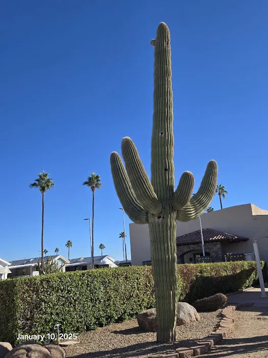 Mesa Spirit RV Resort Picture 1