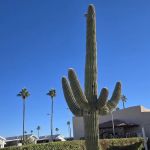 Mesa Spirit RV Resort