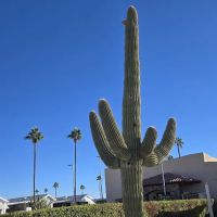 Mesa Spirit RV Resort ico