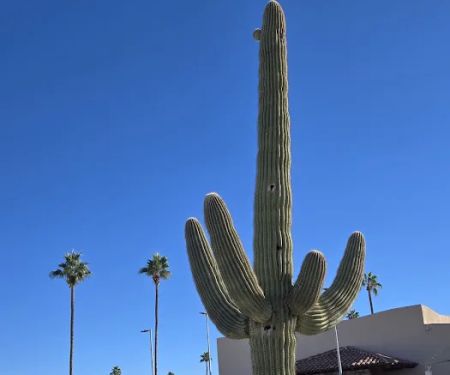 Mesa Spirit RV Resort