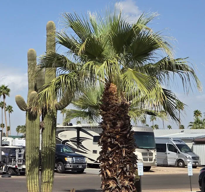 Mesa Spirit RV Resort Picture 6