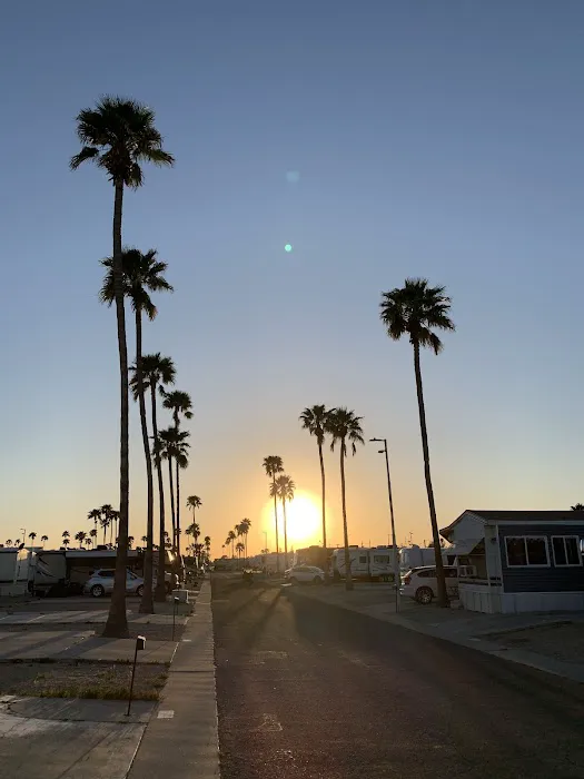 Mesa Spirit RV Resort Picture 3