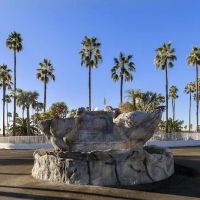 Palm Gardens 55+ Manufactured Housing Community & RV Resort ico