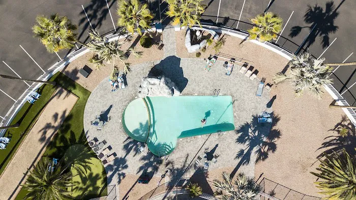 Palm Gardens 55+ Manufactured Housing Community & RV Resort Picture 3