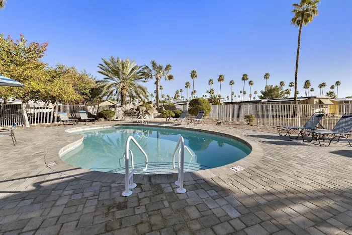 Palm Gardens 55+ Manufactured Housing Community & RV Resort Picture 2