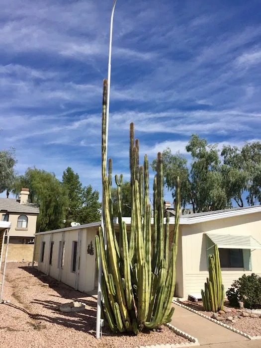 Cypress Estates Picture 6