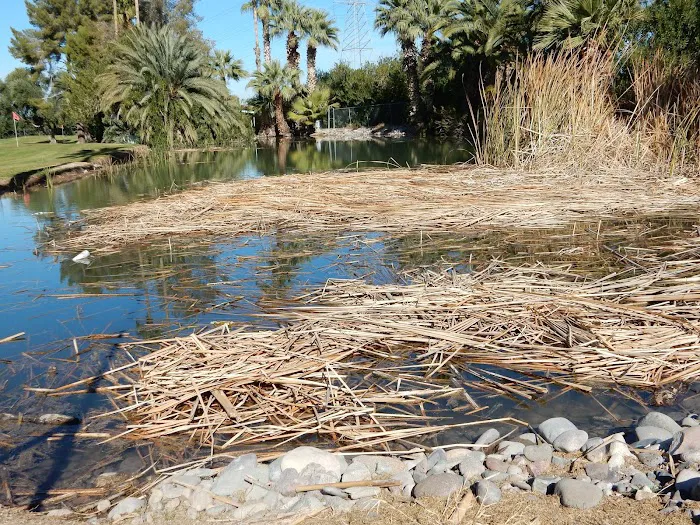 The Highlands at Brentwood Picture 5