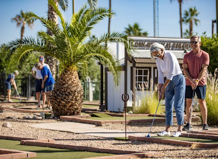 Val Vista Villages RV Park & Resort Picture 4