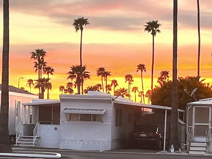 Mesa Village Picture 4