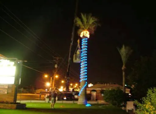 Tiffany RV Park and Apartment Picture 2