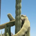 Villa Vista Mobile Home Park Office