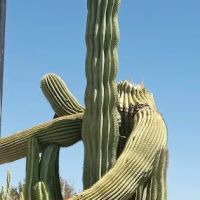 Villa Vista Mobile Home Park Office ico