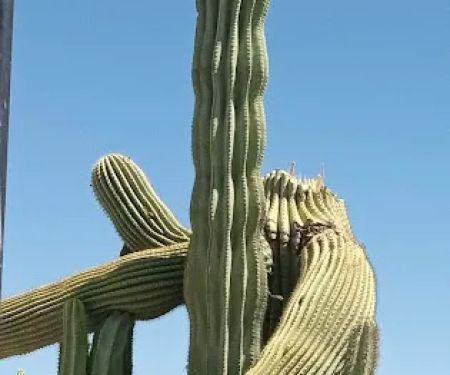 Villa Vista Mobile Home Park Office